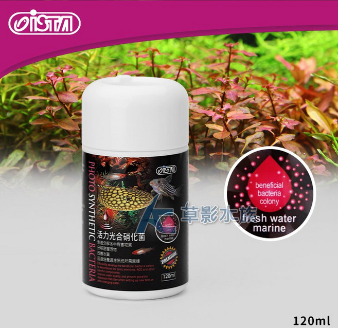 【AC草影】ISTA 伊士達 優質活力光合硝化菌（240ml）BKA01055 魚缸開缸 設缸用, 1個