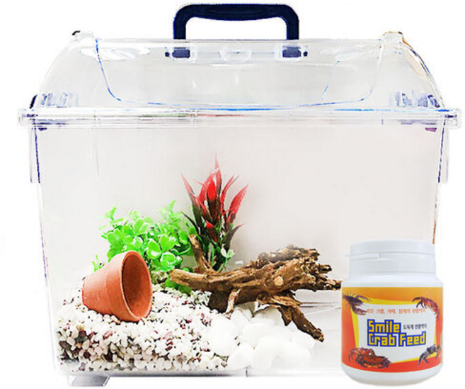 아이과학 애완 도둑게 스마일크랩 키우기 사육세트 [대], 1세트