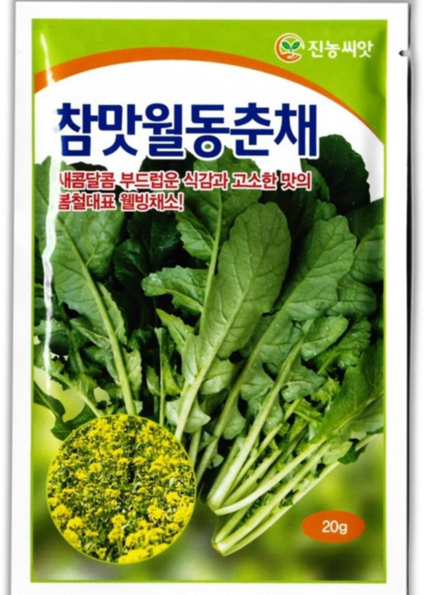 춘채씨앗 참맛월동춘채 20g 하루나 종자, 1개