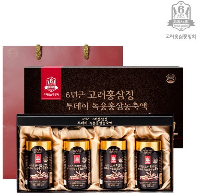 고려홍삼중앙회 6년근 고려홍삼정 투데이 녹용홍삼 농축액 + 쇼핑백, 1세트, 1kg