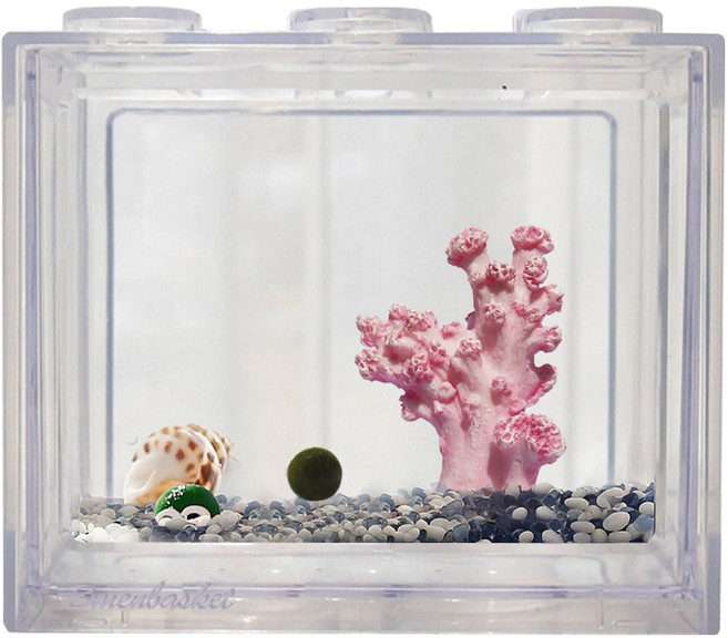 세남자바스켓 언더더씨 국산 마리모 DIY 세트 키우기-마리모(소), 핑크산호+흰자갈50g파란자갈50g, 1개