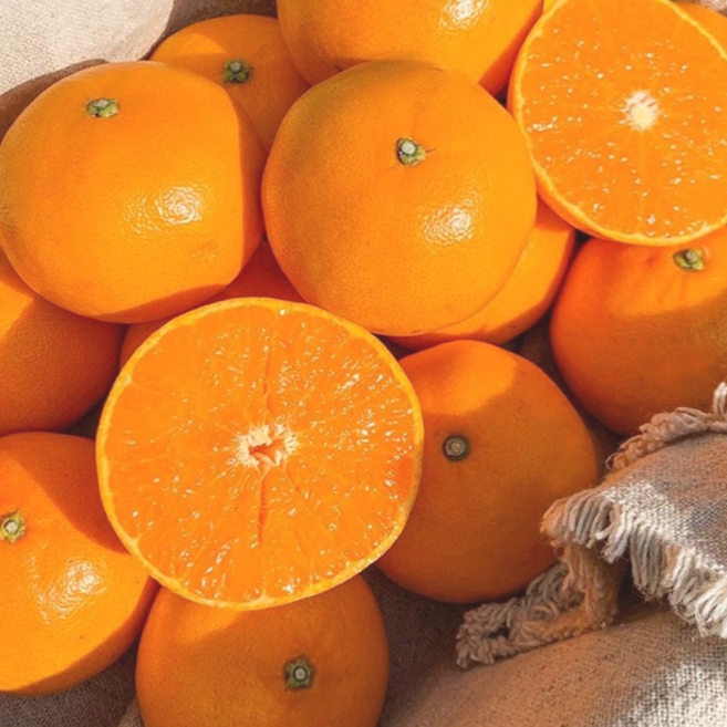 하루딱100박스 최대16브릭스 특품 고당도선별 천혜향, 1박스, 2kg