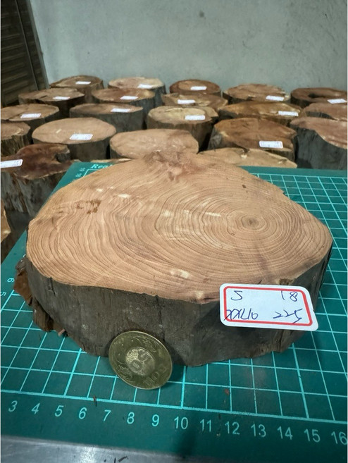 點好香 紅肉檜木 剖開木塊, 18P XXL10 225