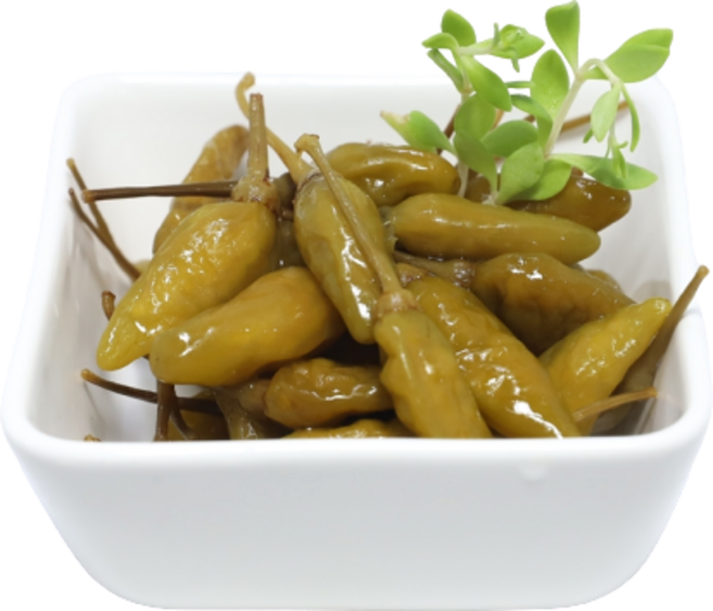 강경신안상회 산고추, 500g, 1개