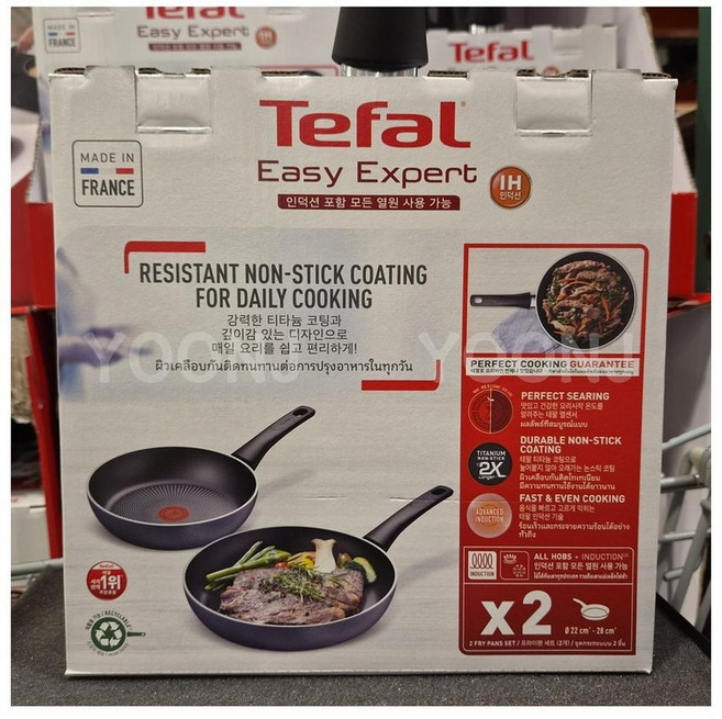 TEFAL 테팔 프라이팬 2P 22CM/28CM, 프랑스산 TEFAL EASY EXPERT PAN 2P