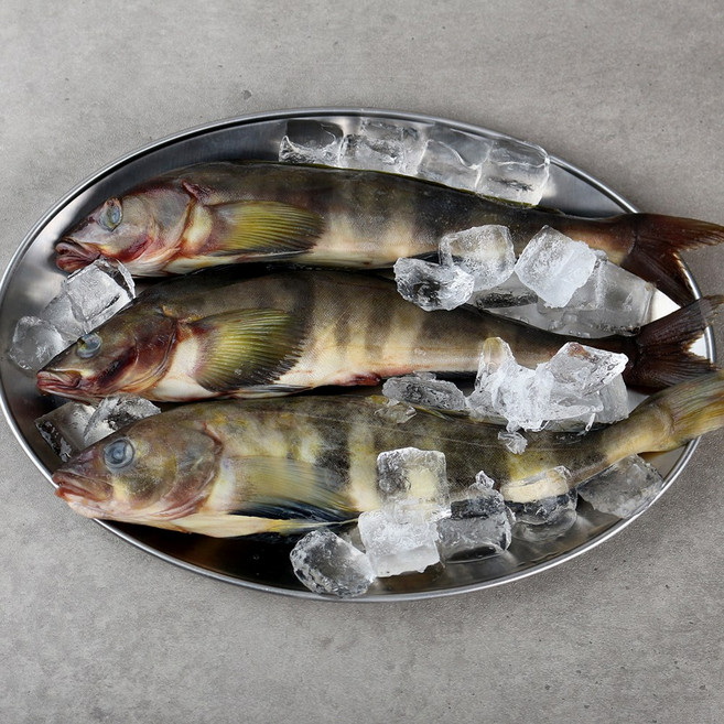 임연수 이면수어 냉동 업소용 벌크 도매, 1박스, L (약24~28마리) 18kg