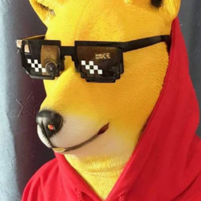 퀘인트 웃긴 강아지 가면, 1개