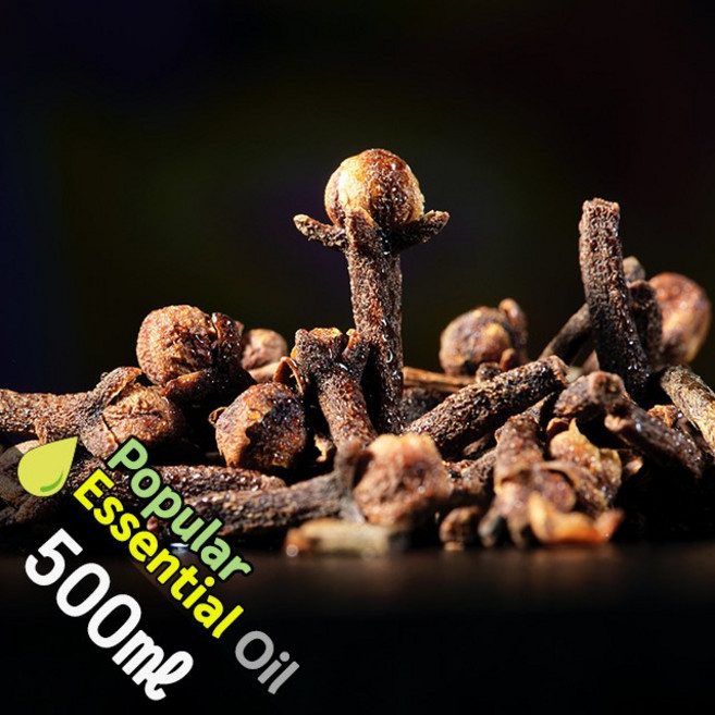 K009 클로브립 500ml (Clove Essential Oil) 천연에센셜 오일 보급형 원액 아로마, 1개