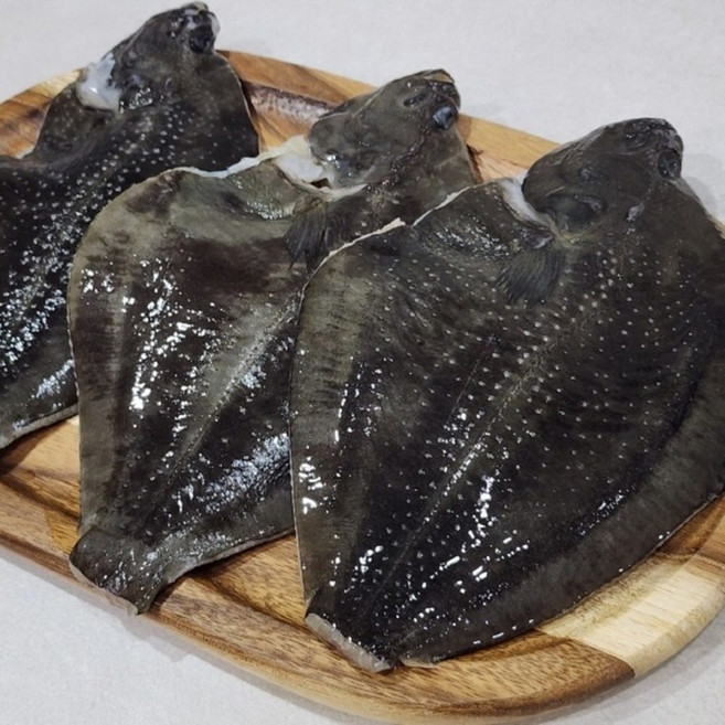 손질 도다리 1kg, 1박스, 1
