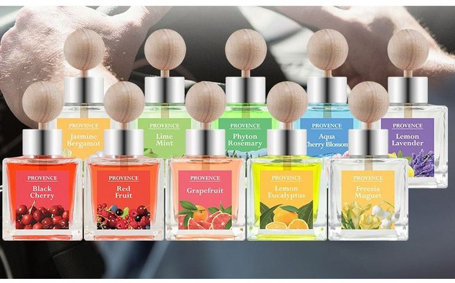 더허브샵 차량용 디퓨져 본품 50ml + 리필 50ml 선물세트, 레드프룻, 2세트