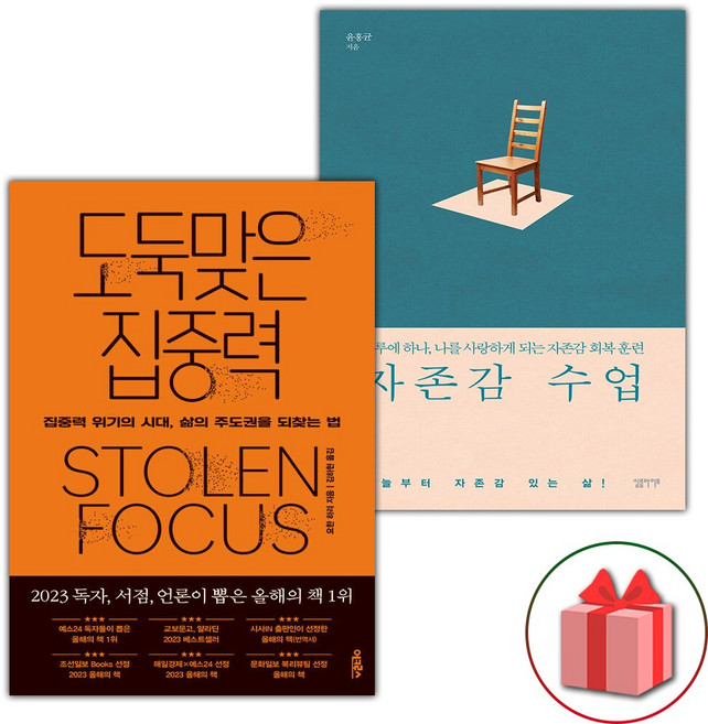 도둑맞은 집중력+자존감 수업 세트