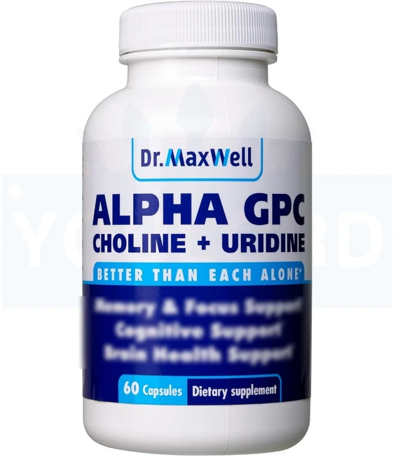 닥터맥스웰 알파 GPC 콜린 우리딘 Alpha 600mg 60캡슐 유로드, 60카운트, 1개, 60정 - 쿠팡