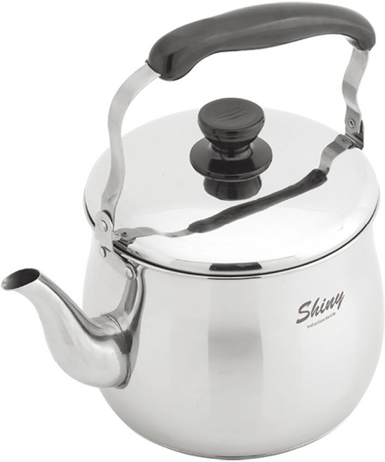 IH 스텐 주전자 인덕션겸용 가정용 물끓이는 주전자, 1개, 3L