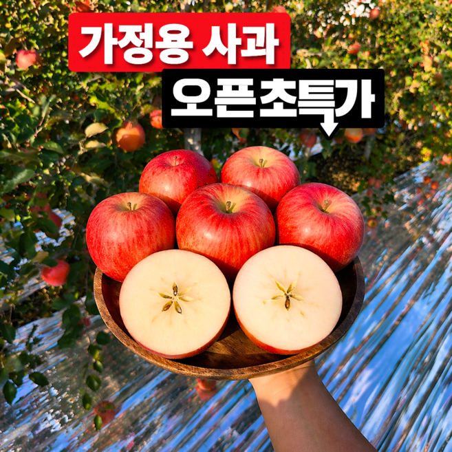 [한정초특가] 꿀brix 못난이 가정용 부사 사과, 1박스, 10kg