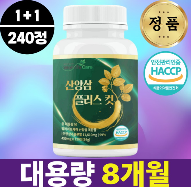 2위 - [공식] 웰라이프케어 산양삼 플러스 컷 정품, 2개, 120정