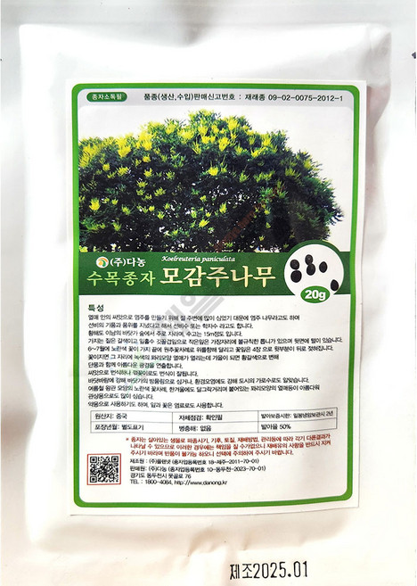 모감주나무 20g 다농 25년 모감주나무씨앗, 1개