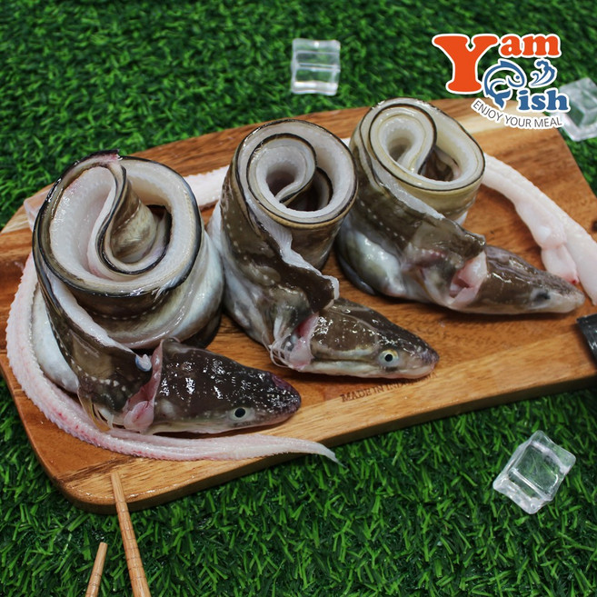 통영 자연산 손질 바다장어 1kg + 소스 2종, 2개, 손질후 750g(2~3미)머리뼈 유