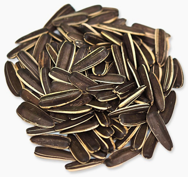 세척 볶음 왕 해바라기씨, 300g, 1개