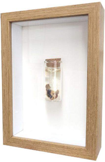 탯줄보관 DIY+액자 세트/아기 탯줄액자 도장 탯줄보존, ★탯줄보관DIY+관액자 4x6 세트