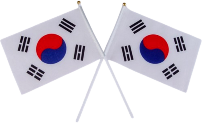 뉴립 여행용 응원용 미니 태극기, 5개