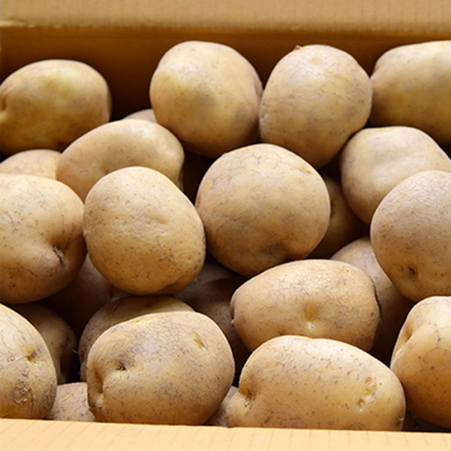 [반값할인] 강원도 고랭지 포슬포슬한 햇 수미 감자 10KG 대과, 1박스