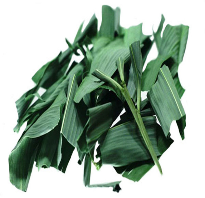 지리산한방식품 야생 조릿대(새순) 150g/동의보감촌 지리산약초 특품, 1개, 150g