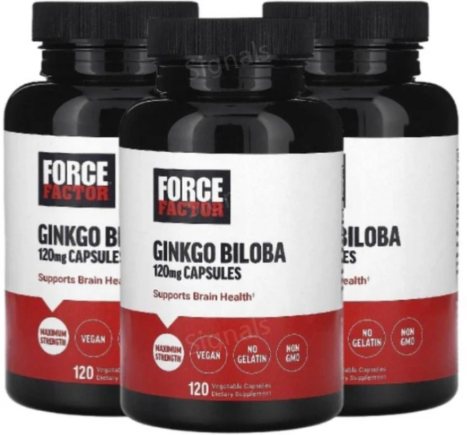 포스팩터 징코빌로바 GinkgoBiloba 120mg 120캡슐 3개 은행나무잎추출물, 120정 - 쿠팡