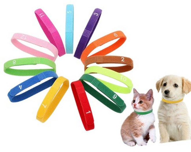 키밍 애완동물 이름표 인식표 목걸이표 출산식별 칼라숫자 찍찍이, 1세트, 혼색