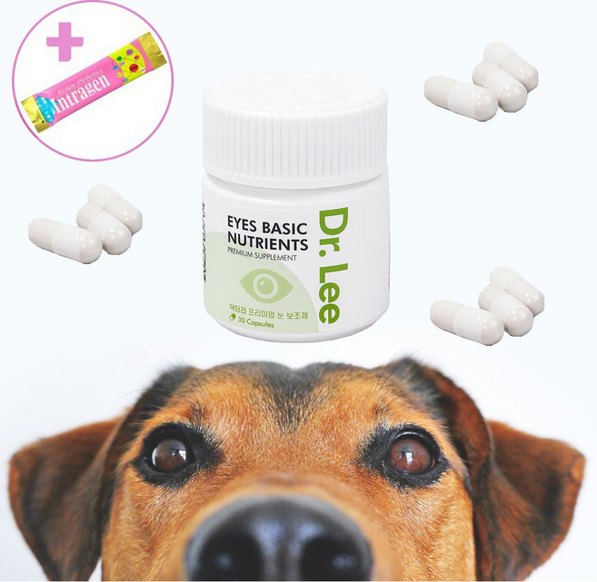 강아지 고양이 백내장 예방 영양제 루테인 눈 건강 결막염 보조제 오큐글로 대체 노령견 유루증, 1개