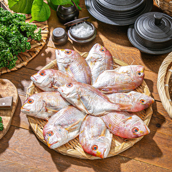 국내산 반건조 꽃돔, 1개, 반건조 꽃돔 4~6미 (18~23cm)