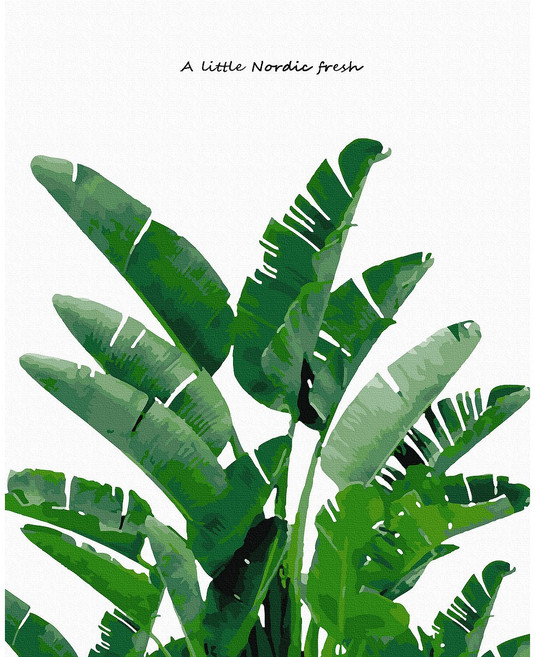 대형 명화 그리기 DIY 60X75cm 유화 캔버스 세트 거실 인테리어 그림 150종, G.정물, G039.몬스테라리프, 1개, G039.몬스테라리프