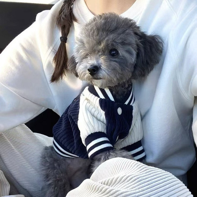 해피유통 반려동물옷 야구 유니폼 펫 점퍼 옷 jhlyl, 네이비