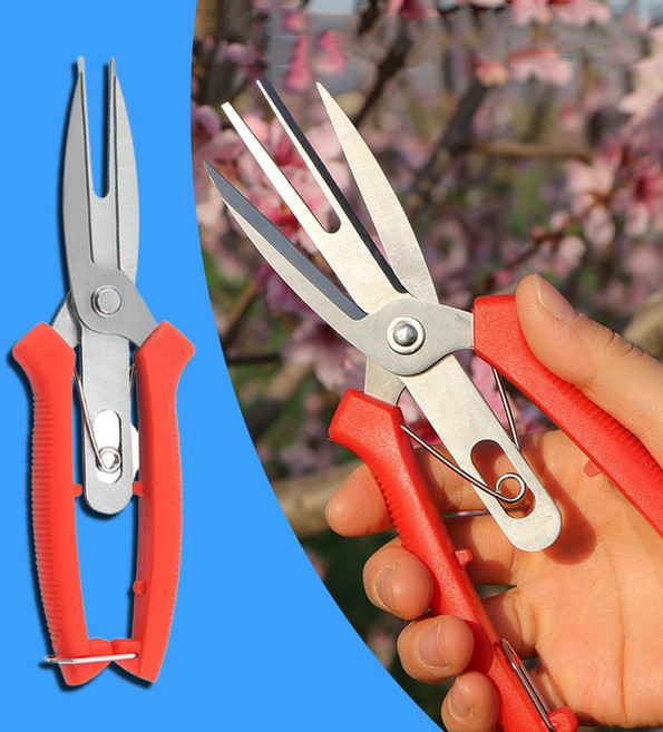 적과 가위 사과 배 과일 나무 알솎기 알솎는 원예 전정 적화, 1개