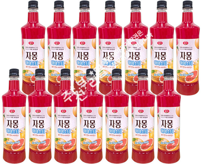 광야식품 자몽 베이스 아이스티, 970ml, 14개