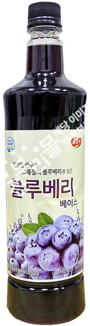 광야 광야식품 음료 블루베리 베이스 970ml x 1개
