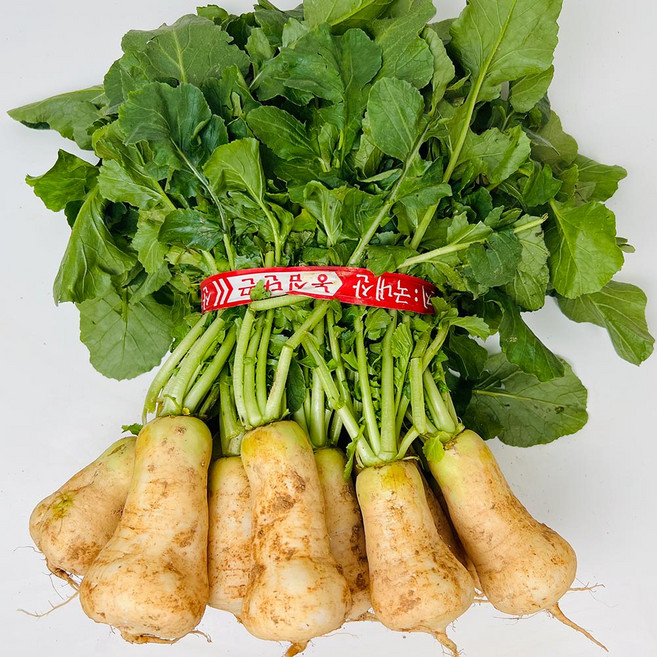 농부곳간 갓 수확한 초롱무 총각무 알타리무, 1개, 알타리무 4단 10kg