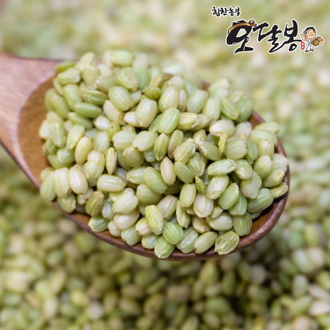힘찬농부오달봉 국산 녹미 찰녹미 녹미쌀, 2kg, 1개