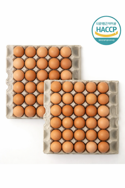 HACCP인증 100%국내산 맛고은 구운계란 특란 60구 1개