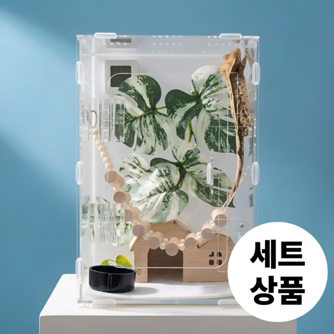 필핏 크레스티드 게코 사육장 도마뱀 파충류 은신처 세트, 1세트, 몬스테라_화이트