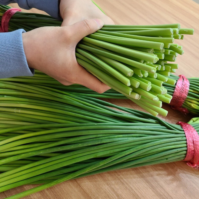 레브 산지직송 국산 남해 마늘쫑 특품, 1개, 1kg