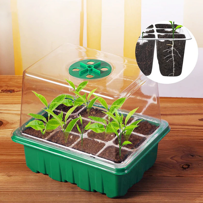 텃밭키우기 모종 허브 다육 화분 키우기 모종박스 6홀 / 12홀, 모종박스 A타입 6홀 A0625, 1개