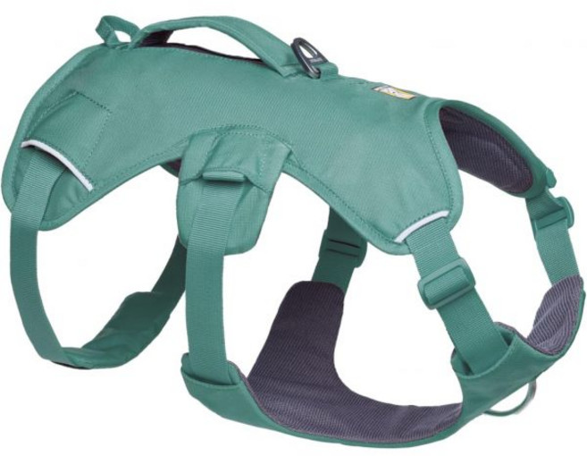 강아지 하네스 대형견 애션 리드줄 러프웨어 웹마스터 SS25 블REYES 레예스 오렌지 소형