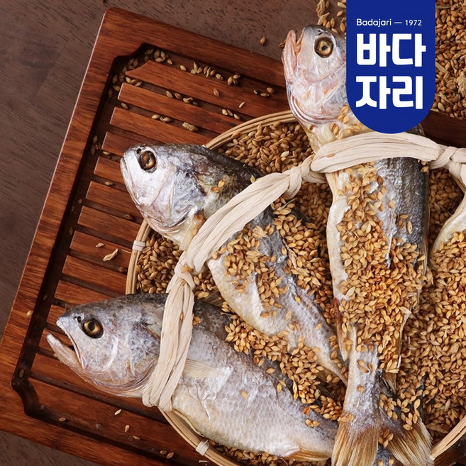 영광 법성포 부세 보리굴비 특대 프리미엄 10마리, 1개, 특대(29~31cm) 10마리