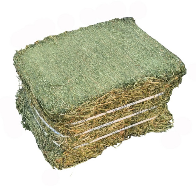대용량 프리미엄 알팔파 건초, 1개, 28kg