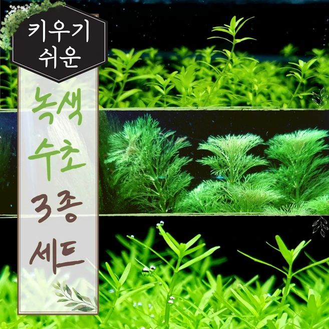 [미초] 달팽이 없는 초보가 키우기 쉬운 녹색 수초 3종 세트 (펄그라스/로타라그린/암브리아) / 초보자용 수초 / 수초 세트 / 구피 수초, 25개 - 쿠팡
