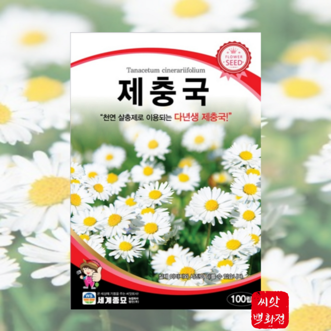 제충국씨앗 100립 / 홈가드닝 다년생 종자 천연 살충 국화과 봄 여름 가을, 1개