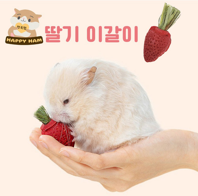 행복햄 햄스터 이갈이 간식 당근이갈이 딸기이갈이, 딸기이갈이3p, 1세트