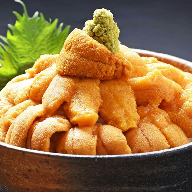 파지제품 냉동 칠레 성게알 우니 100g 한판 홈마카세, 1개