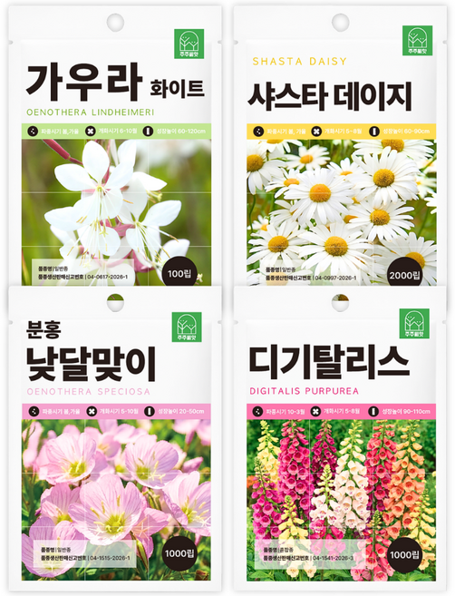 다년생 노지월동 꽃씨 4종세트 작물 샤스타 데이지 핑크 분홍 낮 달맞이 나비바늘꽃 가우라 흰색 디기탈리스 봄 여름 가을 겨울 파종 씨앗, 1개