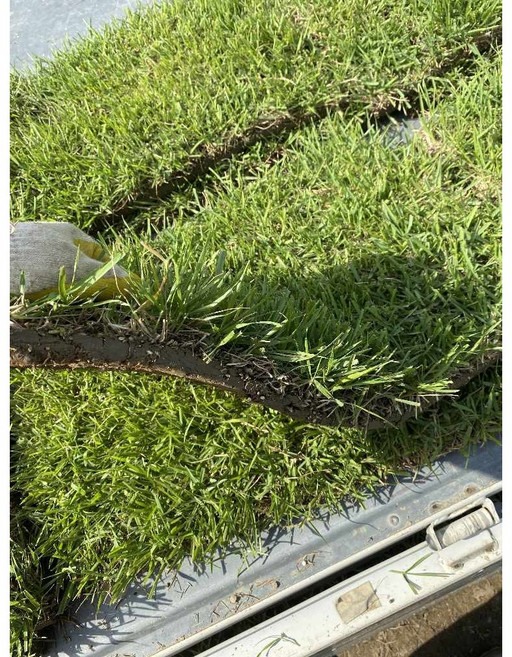 서경농원 천연잔디 18cm x 20장 묶음 한국잔디 중지, 20개